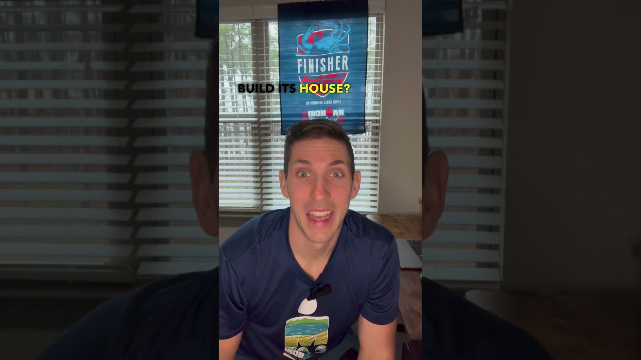 How does a penguin build it’s house?🤷🏼‍♂️ 