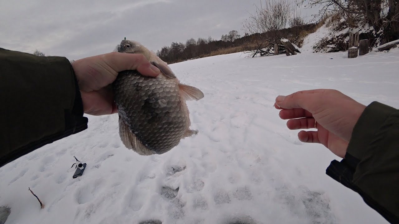 ВОТ ЭТО ЛАПОТЬ КЛЮНУЛ!!! Крупный карась зимой. Зимняя рыбалка на озере 2018.