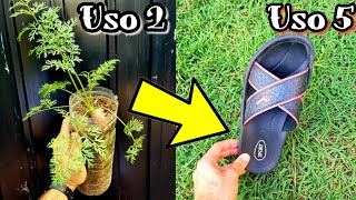 NUNCA TIRES ESTOS OBJETOS! valen ORO EN TU JARDÍN O HUERTO | Recicla semilleros