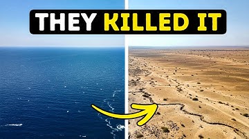 5 Greatest Human-Made Disasters in History