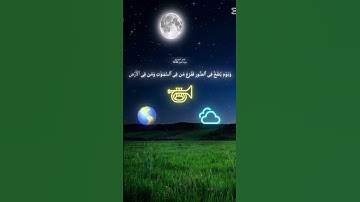 سبحان الله وبحمده سبحان الله العظيم #قرآن #سوره النمل القارئ ياســـر الـــدـــوـــســـري الله يحفظه