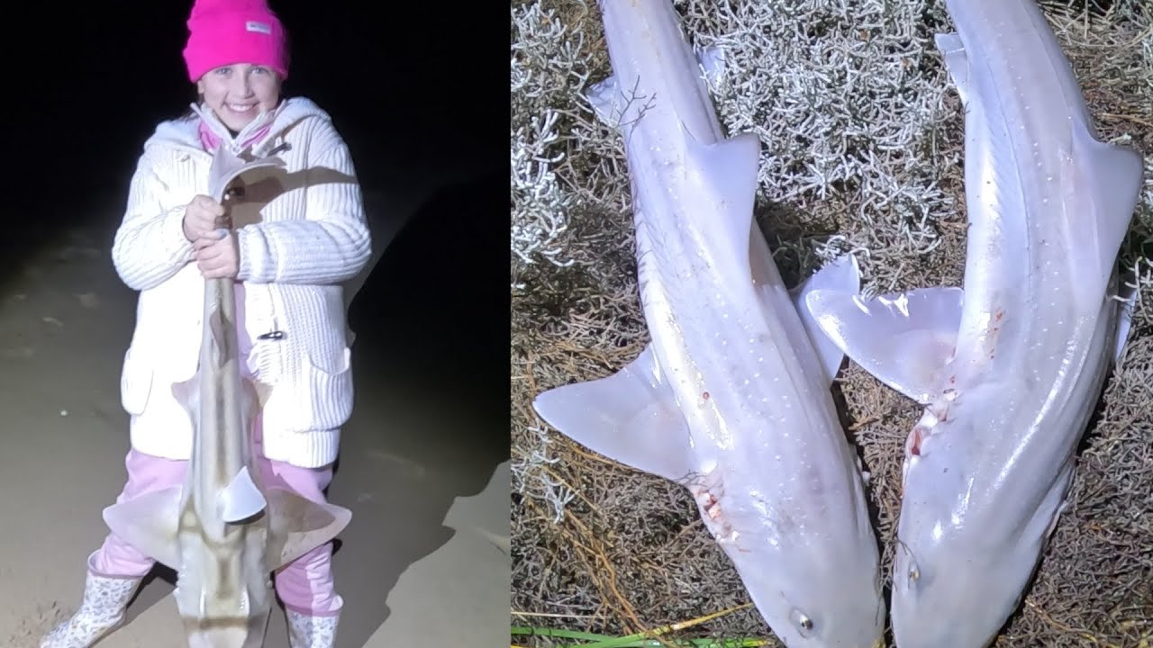 Рыбалка с дрона на пляже «Девяносто миль» на акул-гумми.