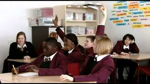 The Classroom Experiment lollipop sticks