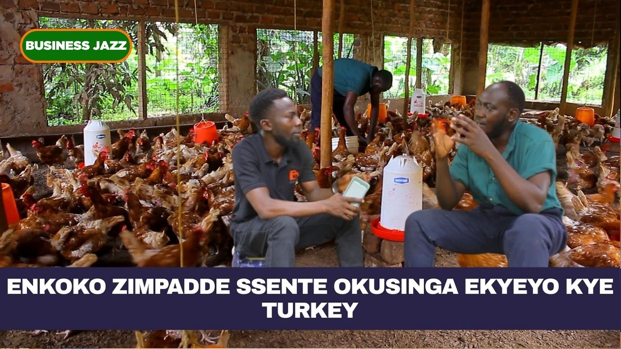 ENKOKO ZIMPADDE SSENTE OKUSINGA EKYEYO KYE TURKEY PART 3 - YouTube