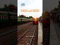 34DN Pak Business and 115UP Musa Pak at Sahiwal #pakrailupdntrain #viralshorts #shorts