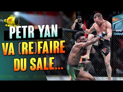 UFC 273 Petr Yan vs. Aljamain Sterling 2 - ANALYSE & PREVIEW