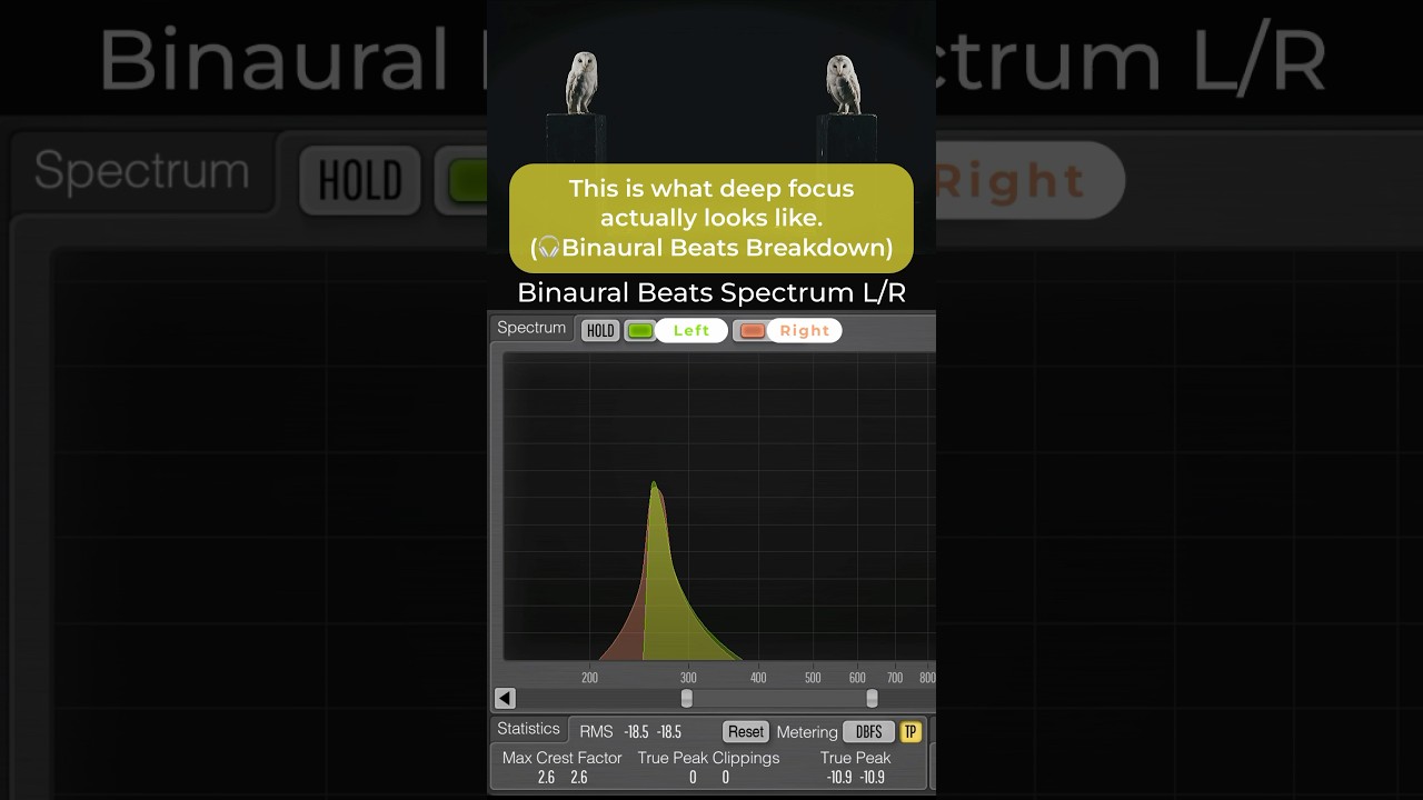 Visualizing Binaural Beats (Alpha Waves) 🧠