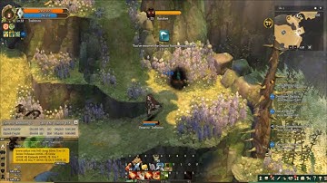 Tree of Savior - Demon Summoning Circle (Nefritas Cliff)