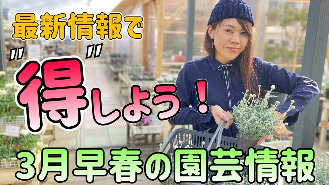2022年3月】誰も知らない園芸最新情報洩らします！ 【初心者
