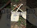 放置されて荒れ果てた庭をキレイにする!@base2jo