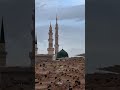 منارات عظيمة الرادود حيدر البياتي 