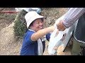 Dry Stone Waller: Kaneko Reo - FRONTRUNNERS