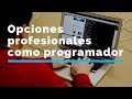 Opciones profesionales como programador