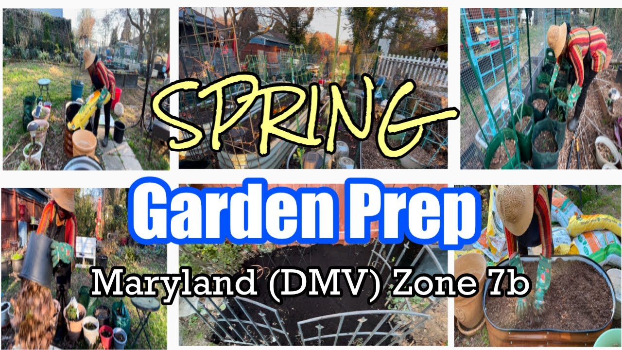 Prepping My Garden for Spring 2025 | Maryland (DMV)Zone 7b
