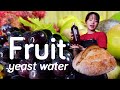 Fizzy Fruit Yeast Water For Bread Fizzy Fruit Yeast Water For Bread
