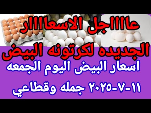 سعر البيض اسعار البيض اليوم الجمعه 11 7 2025 جمله وقطاعي فى مصر