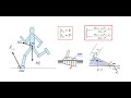 Zero Moment Point (ZMP) in Legged Robots