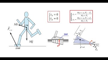 Zero Moment Point (ZMP) in Legged Robots