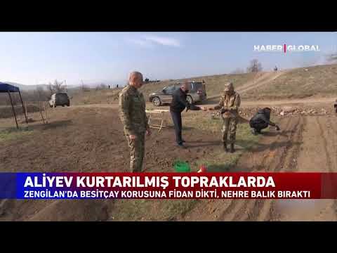 Video: Norfolk qarag'ayiga qancha suv kerak - Norfolk qarag'ayiga suv kerakligi haqida bilib oling