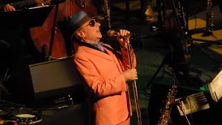 Van Morrison - Raincheck - Chicago Theater - May 8, 2022 LIVE
