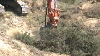 Gorse mulching how to
