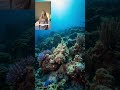 This Fish Can Kill You 😱 | Stonefish