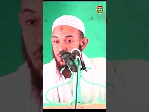 كلا ان معي ربي سيهدين الشيخ احمد البدوي 