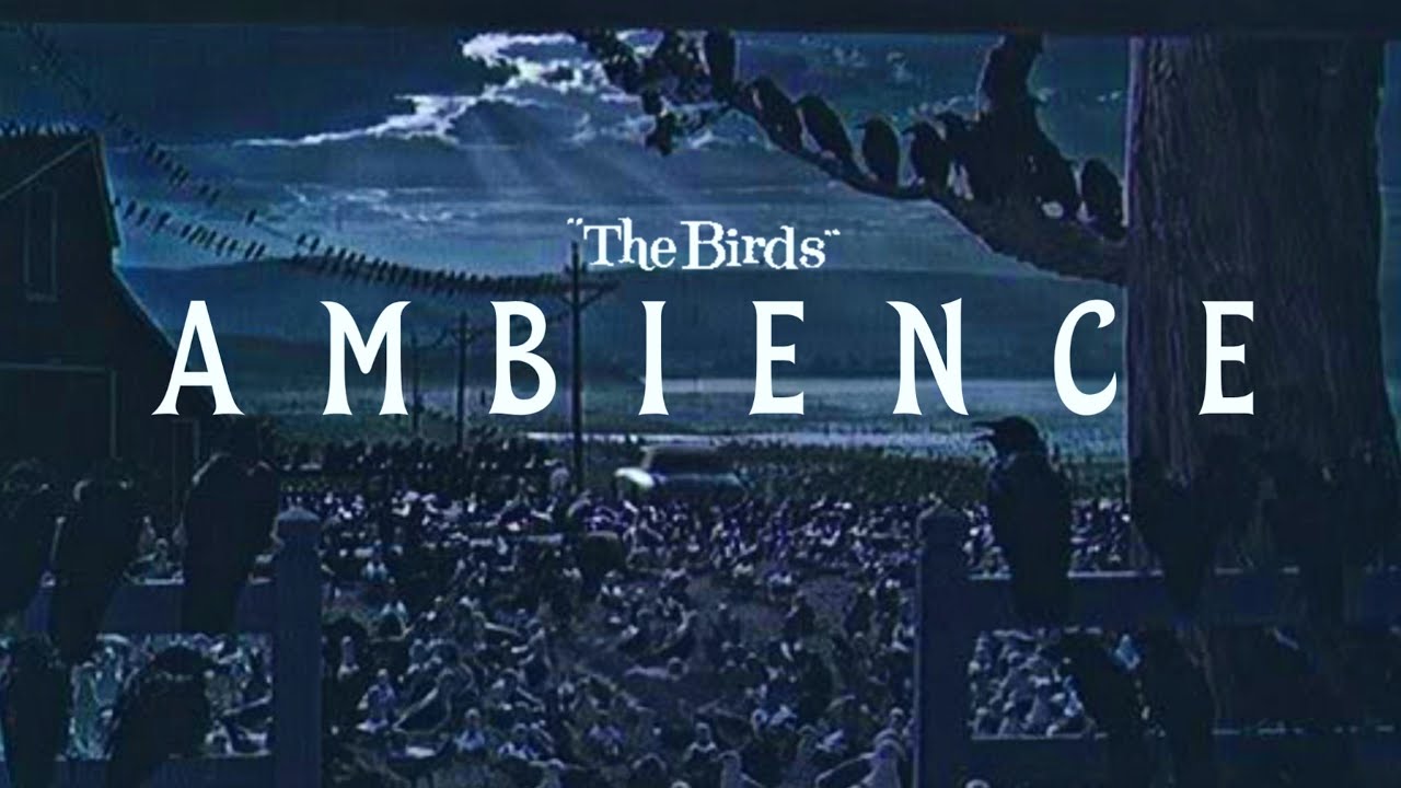 The Birds 1963 Ambient Soundscape Youtube 