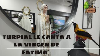 TURPIAL EN EL MES DE  MAYO HOMENAJE A LA VIRGEN MARIA