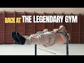 Back at the LEGENDARY GYM: A Look Into My Workout