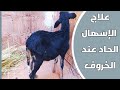علاج الإسهال عند الخروف وصفة نافعة جدا لعلاج الإسهال عند الأغنام والماعز علاج الإسهال عند الخروف وصفة نافعة جدا لعلاج الإسهال عند الأغنام والماعز
