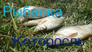 Первая рыбалка с ночёвкой на  р. Которосль.