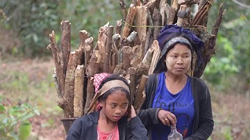 REDD+ Himalaya Documentary