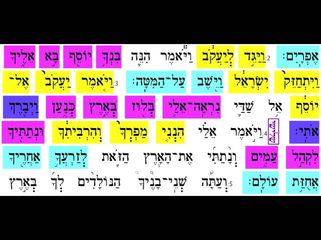 Vaychi 4