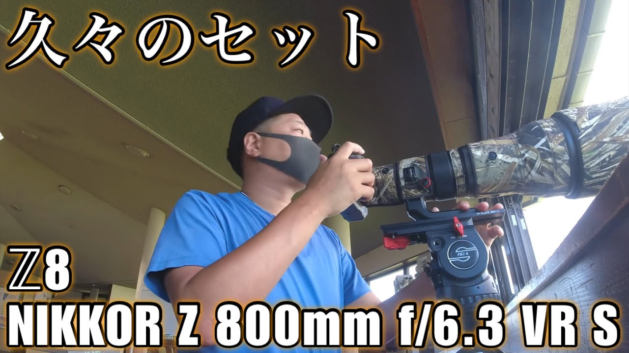 YouTube撮影セット　新品・未使用 野鳥撮影】久々のセットで鳥撮りと新たな出来事 - Z8 × NIKKOR Z 800mm
