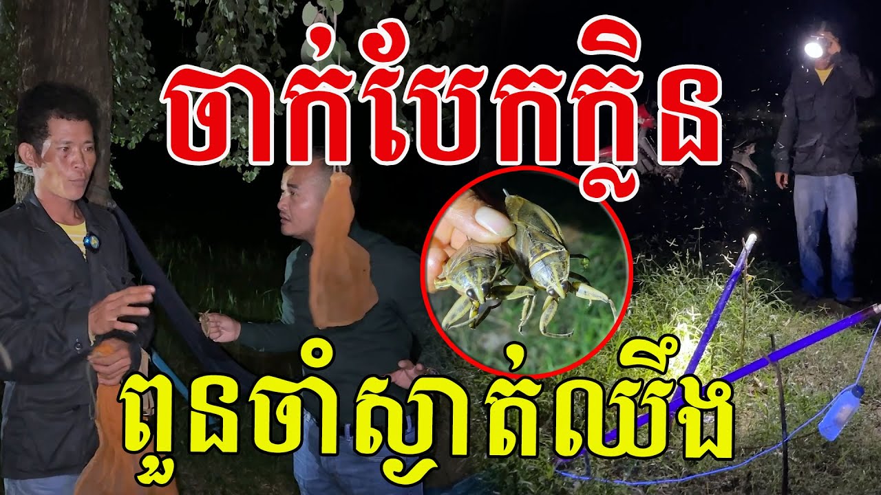 ទើបដឹង ការពិតរកចឹងសោះ ចាំក្រោមដើមឈើស្ងាត់ឈឹង