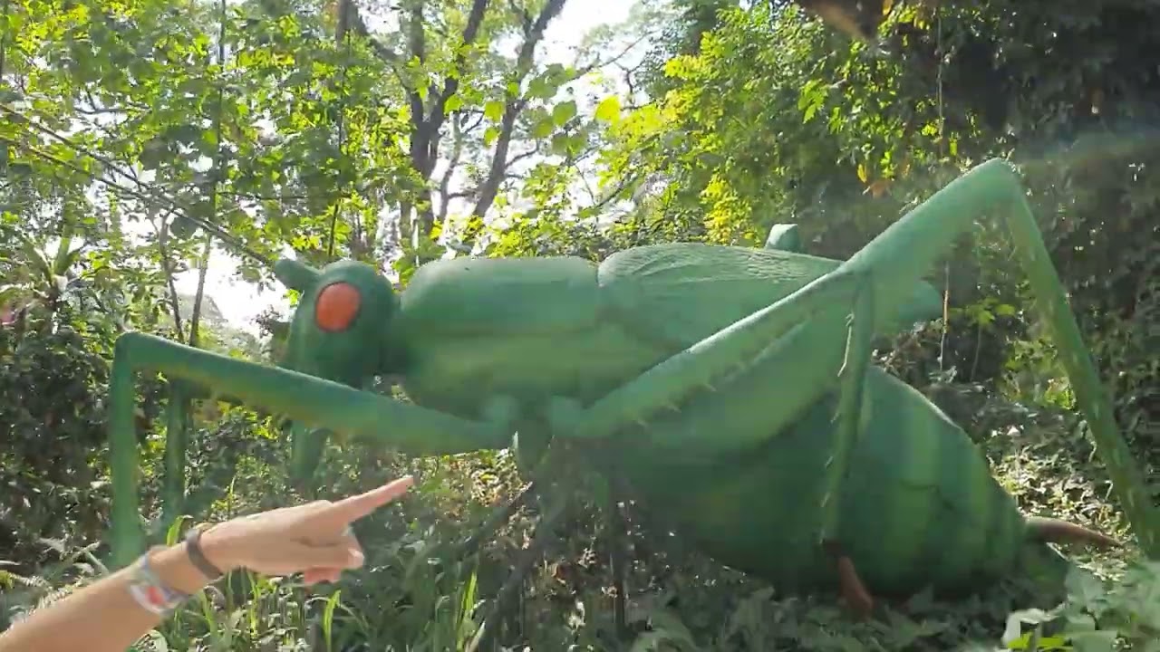 INSECTLANDIA | Shorts | ECED Field Trip | Nov 20, 2023