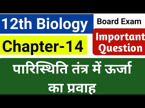 वीडियो: पारिस्थितिक तंत्र में ऊर्जा का उपयोग किस लिए किया जाता है?