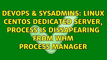 DevOps & SysAdmins: Linux CentOS dedicated server, process is dissapearing from WHM process manager
