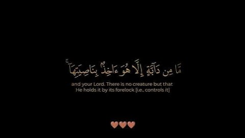 سورة هود / الشيخ سعد الغامدي / تلاوة خاشعة تريح سمعك وقلبك