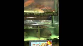 Ресторан морепродуктов в Гуанчжоу. Seaffood Guangzhou China Ресторан морепродуктов в Гуанчжоу. Seaffood Guangzhou China