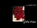 أنغام في الركن البعيد الهادى 