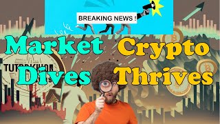 USD Stable Coin Reshapes With CNB And Circle. TOP STORIES!