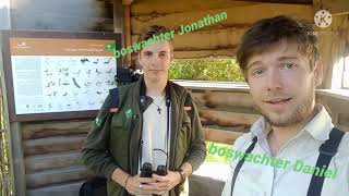 Wat Doet Een Boswachter Eigenlijk