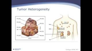 Lincoln Nadauld The Clinical and Economic Impact of Precision Cancer Medicine