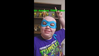 My TMNT Shelf Tour! (Berco TV)