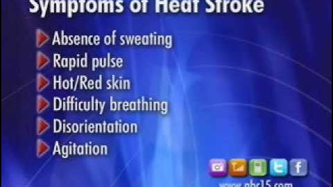 VIDEO: Exercising in the Heat 7/19/10