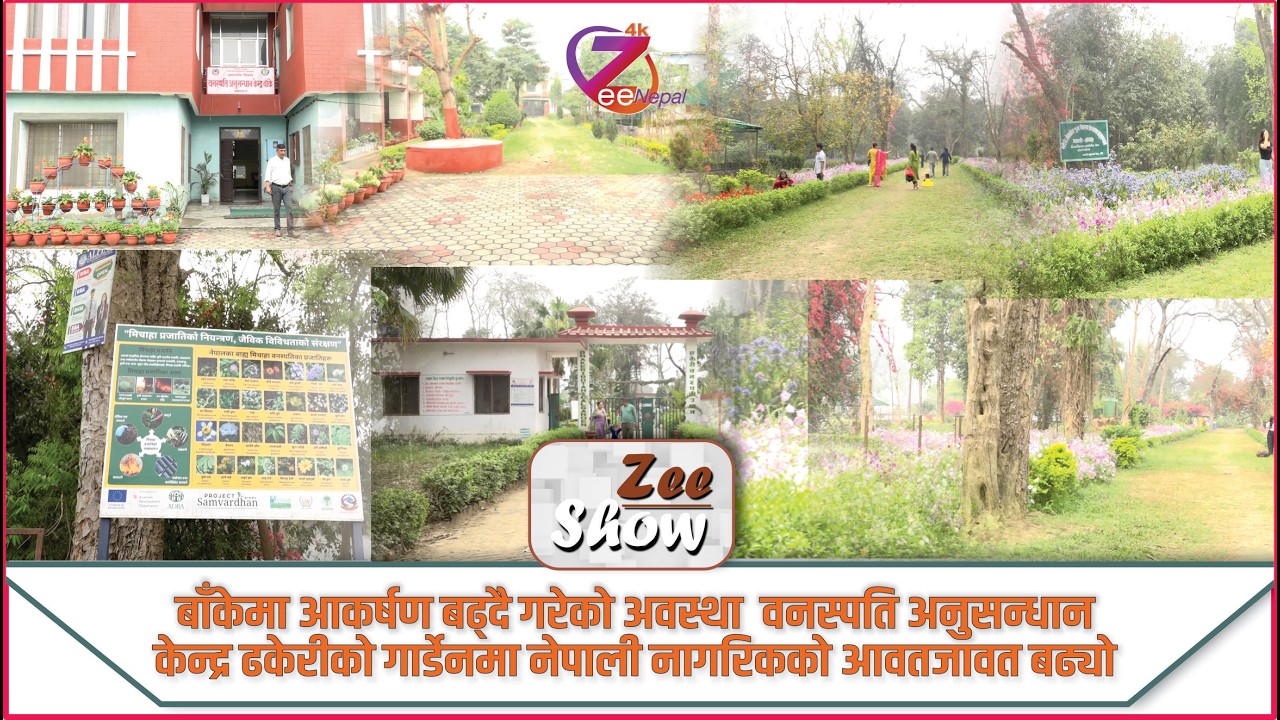 ZeeShow ll Ashish kumar Gupta ll ZeeNepal 4K TV