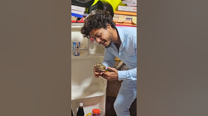 मेंढक🐸को Market घूमने ले जाना!#frog #funny