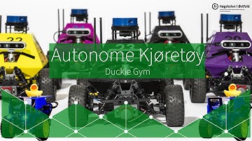 Autonome Kjøretøy - Duckietown - Duckietown Gym